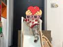 HERO THRIVE儿童滑滑梯室内1-3岁秋千组合攀爬架婴儿玩具0-3岁 奶白滑梯+篮框+音乐 实拍图