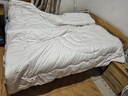 LOVO罗莱 100%纯澳州羊毛被子冬被芯A类抗菌防螨6.6斤200*230cm 实拍图