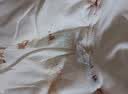 童泰（TONGTAI）宝宝秋衣套装春秋季纯棉婴儿衣服儿童高腰护肚家居服棕色73cm 实拍图