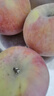 京鲜生 新疆阿克苏苹果 净重9斤装 巨无霸100mm+ 新鲜水果 实拍图