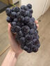 顺丰东北辽宁巨峰葡萄5斤新鲜水果无籽香甜黑提子当季现摘整箱发L 净重2斤装【顺丰快递】 实拍图