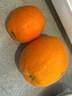 集年鲜赣南脐橙手剥甜橙子新鲜现摘生鲜水果整箱节日送礼 净重9斤信丰铂金果 单果150-220g 实拍图