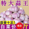 山东金乡鱼台大蒜农家自种干蒜新鲜蔬菜紫皮批发多瓣祘头当季 精品大蒜【带箱5斤】 实拍图