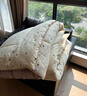 无印良品超柔抗菌纤维被子春秋被芯宿舍单人冬季棉被5斤150*200cm小熊院长 实拍图