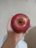 京喜加正宗昭通冰糖心苹果脆甜多汁 整箱1斤A+级中果【果径70-75】 实拍图