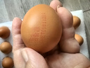 德青源谷物鲜鸡蛋30枚2.54斤 无抗生素 营养早餐 礼盒装 源头直发 实拍图