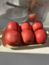 莳荟果蔬【顺丰现发】新西兰红玫瑰苹果当季泰勒甜脆苹果进口水果送礼盒 进口红玫瑰大果6个简装(单果170-200g) 实拍图