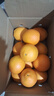 江西赣南早脐橙整箱当季新鲜早橙子榨汁水果礼盒皮薄多汁节日团购 【90%人选】净重9斤单个200g+ 实拍图