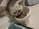 信元发育宝（SINGEN）体验装 EC35基础活力成猫粮200g 实拍图