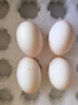 均鲜新鲜土鸽子蛋杂粮喂养农家特产白鸽蛋信鸽蛋孕妇宝宝年货节礼盒装 30枚750g左右精选大个种鸽蛋 实拍图