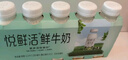 悦鲜活 鲜牛奶  260ml*5瓶 高钙巴氏杀菌乳 生鲜 低温奶 实拍图