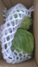 高原夏菜新鲜包菜卷心菜绿甘南菜甘蓝圆白菜时令蔬菜健康营养早餐 3斤带箱农家好菜 实拍图