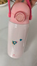 乐扣乐扣（LOCK&LOCK）儿童保温杯水杯直饮学生带提环便携水壶316L不锈钢粉色360ML 实拍图