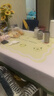小清新桌布免洗防水防油防烫桌垫长方形餐桌布轻奢高级感茶几台布 【ZB31366】再生花 90*150cm 实拍图