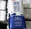 光明 优加纯牛奶250ml*12盒3.3g原生乳蛋白浓醇营养早餐奶礼盒装 实拍图