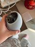 华为智选 800万摄像头监控器360度无死角带夜视全景手机远程语音通话海雀室内家庭用婴儿宝宝看护器雀蛋Pro 实拍图
