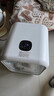 霍曼宠物智能烘干箱宠物烘干机猫咪自动吹干箱狗狗洗澡吹风机家用 实拍图