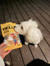 HELLOJOY狗狗零食磨牙棒比熊泰迪中小型犬磨牙洁齿 鸡肉绕奶酪100g 实拍图