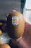 佳沛（zespri）意大利 阳光金奇异果12粒礼盒特大果单果约122-146g 猕猴桃 水果 实拍图
