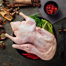 CP正大食品樱桃谷鸭4.4斤（1只）冷冻生鲜净膛鸭肉煲鸭汤啤酒鸭 实拍图