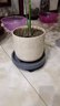 钢化树脂移动托盘花盘塑料底座万向轮花盆底托滚轮接水盘底盘 深灰 260#内径23.3cm 实拍图