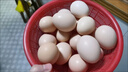 忆乡岭鸡蛋 散养谷物蛋 农家山林喂养 初生鲜土鸡蛋 20枚800g 实拍图
