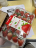 樱鲜多地次日达顺丰JD丹东99红颜牛奶奶油甜草莓新鲜水果年货送礼盒装 1盒  优选果【20枚】单果10-19g 实拍图