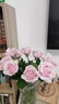 京东鲜花【粉红雪山】玫瑰花10枝如意基地鲜切花水养插花生活花束源头直发 实拍图