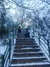 凌云鹤冰爪户外登山冰爪防滑鞋套雪地登山装备全套钓鱼鞋钉 冰爪8齿黑色【1对】 L码（40-45码） 实拍图
