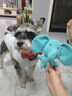 柒哦狗狗玩具耐咬磨牙幼犬狗狗毛绒发声自嗨解闷神器中小型犬宠物用品 狗狗玩具小象 实拍图