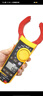 福禄克（FLUKE）F319 真有效值交直流数字钳形表 数字多用表 电流表万能表 1000A 晒单实拍图