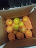 京鲜生 云南哀牢山冰糖橙/橙子 净重9斤 单果130g-170g 生鲜水果礼盒 实拍图