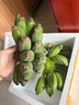广西网红小米蕉青香蕉发货密封放熟吃新鲜水果皮薄肉厚 净重5斤青蕉发货 实拍图