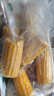 当季新货头茬东北黄甜糯玉米棒真空包装低脂黄糯大棒甜东北黏苞米 黄糯玉米【120-160克】6根 实拍图