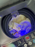 志高（CHIGO）全自动洗衣机 波轮宿舍迷你小型家用 洗烘一体 智能洗脱一体机 大容量 风干 【9Kg-特惠款-蓝光洗护-强动力电机】 实拍图
