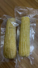 京鲜生东北白糯玉米330g*8根 甜黏玉米低脂早餐代餐粗粮真空装 源头直发 实拍图