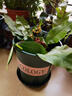 九千谷加仑花盆 高1.5加仑加厚圆形树脂控根加仑盆20*20cm 3个装5075 实拍图