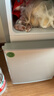 小鸭小冰箱迷你小型家用 冷藏冷冻两用宿舍寝室出租房用双门办公室电冰箱节能省电 一级能效-42A118LS银【三天约一度电】 实拍图