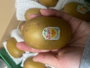 佳沛（zespri）新西兰阳光金奇异果 8个装 特大果单果重约122-146g 水果猕猴桃 实拍图