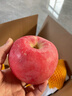 甜醉了 烟台苹果栖霞红富士新鲜水果生鲜山东特产脆甜整箱平果礼盒礼品 18枚单果75-80mm(净重约8斤) 实拍图