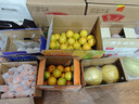 京鲜生 云南哀牢山冰糖橙/橙子 净重9斤 单果130g-170g 生鲜水果礼盒 实拍图