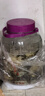 极度空间泡酒瓶玻璃罐泡酒容器密封罐腌咸菜罐泡菜坛白酒容器泡酒坛10斤装 实拍图