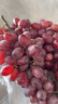 京鲜生 克伦生红提 葡萄 2斤装 生鲜水果 克瑞森 酸甜口感 实拍图