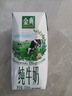 伊利金典纯牛奶整箱 200ml*24盒 3.6g乳蛋白 原生高钙 年货礼盒装 实拍图