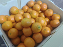 京鲜生 正宗广西砂糖橘净重4.5斤 单果35-55mm 精品果  源头直发包邮 实拍图