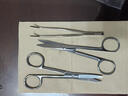 点邦医用剪刀镊子套装手术组织剪夹子不锈钢尖头嘴弯头纱布剪拔毛工具 【组合套装】医用弯剪+弯镊（125mm） 实拍图