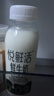 悦鲜活 鲜牛奶  260ml*5瓶 高钙巴氏杀菌乳 生鲜 低温奶 实拍图