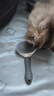 茨格曼猫梳子梳毛刷猫咪去浮毛猫毛清理器除毛器针梳狗狗梳子宠物用品 实拍图