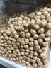 祁连裕农有机鹰嘴豆生 煮粥打豆浆 非新疆 非熟 新货450克真空 有机鹰嘴豆450g*1盒 实拍图