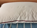 水星家纺枕头枕芯酒店枕头护颈枕头芯家用单个纯棉抗菌可水洗中枕48x74cm 实拍图